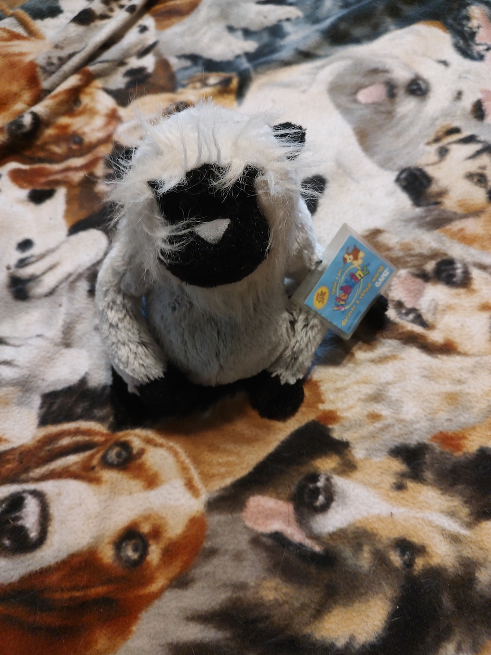 Plush Sheep Small Pet Toy - Gray and Black